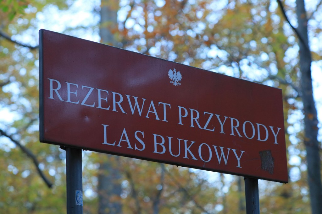 Trwają wizje terenowe przyszłych 100 rezerwatów. Mają powstać z okazji 100-lecia istnienia Lasów Państwowych