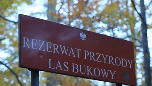 W Polsce mamy 1500 rezerwatów. Na kolejne możemy czekać nawet kilka lat