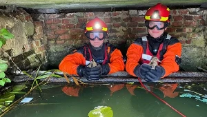 Strażacy ruszyli na pomoc kaczkom