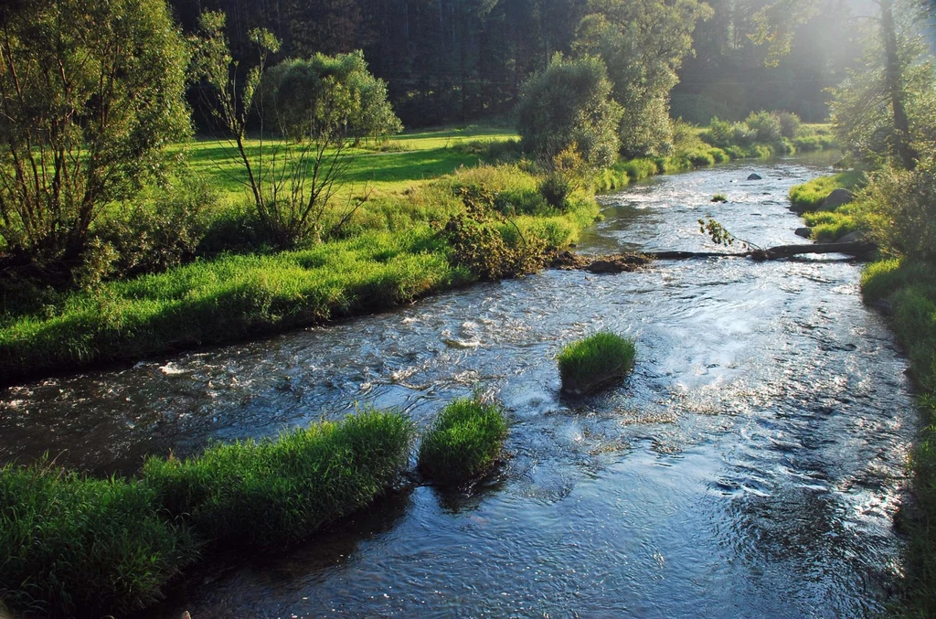 Rzeka Bóbr jest miejscem idealnym do spływów kajakowych 