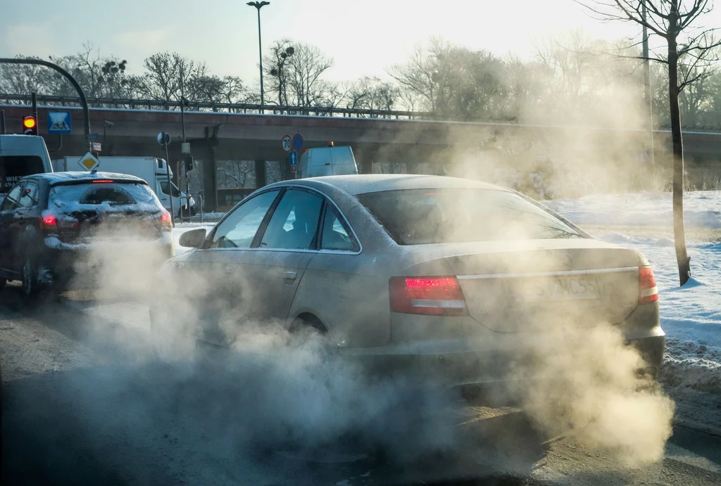 "Chińskie samochody elektryczne są tańsze od tych europejskich. Wpuszczając je na nasz rynek przyspieszymy śmierć samochodu spalinowego. Czy uratujemy planetę? Możemy się łudzić"