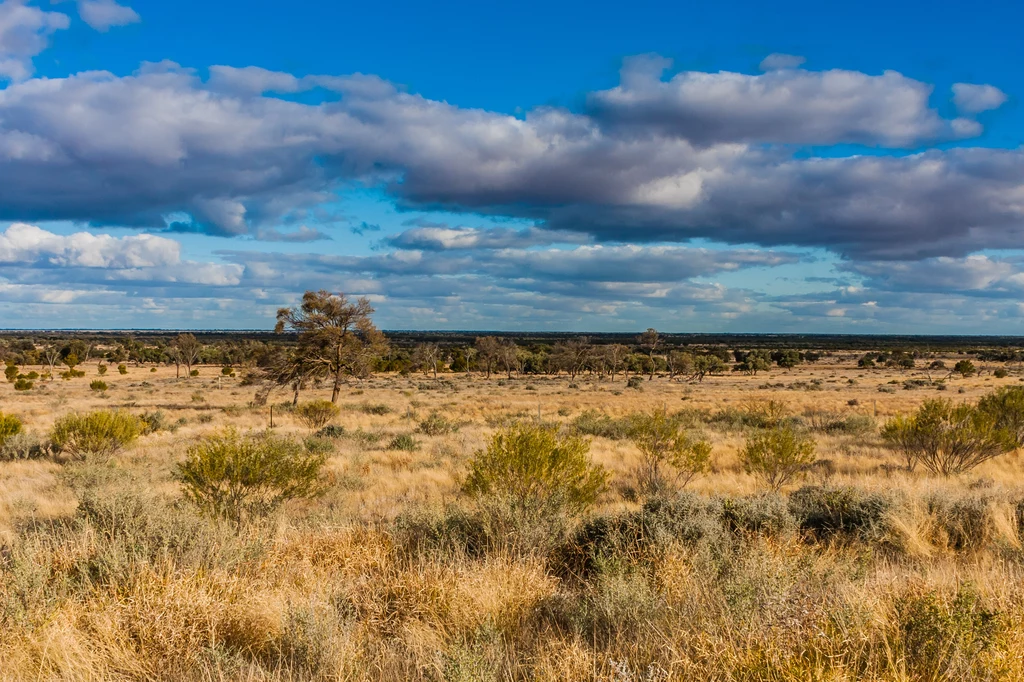 W Australii odnaleziono artefakty mające aż 47 000 lat