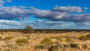 W Australii odnaleziono dziesiątki artefaktów. Niektóre sprzed 47 tys. lat