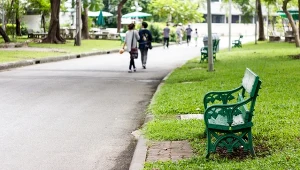 Mieszkaniec hiszpańskiego miasta został ukarany grzywna za posadzenie drzew, naprawę chodnika i pomalowanie ławki