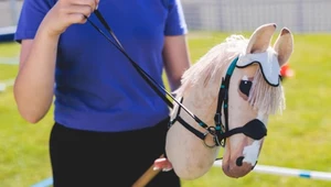 Gęś Pipa ma już podobno godnego następcę na straganach - to hobby horse, którego cena może sięgać nawet 1000 zł