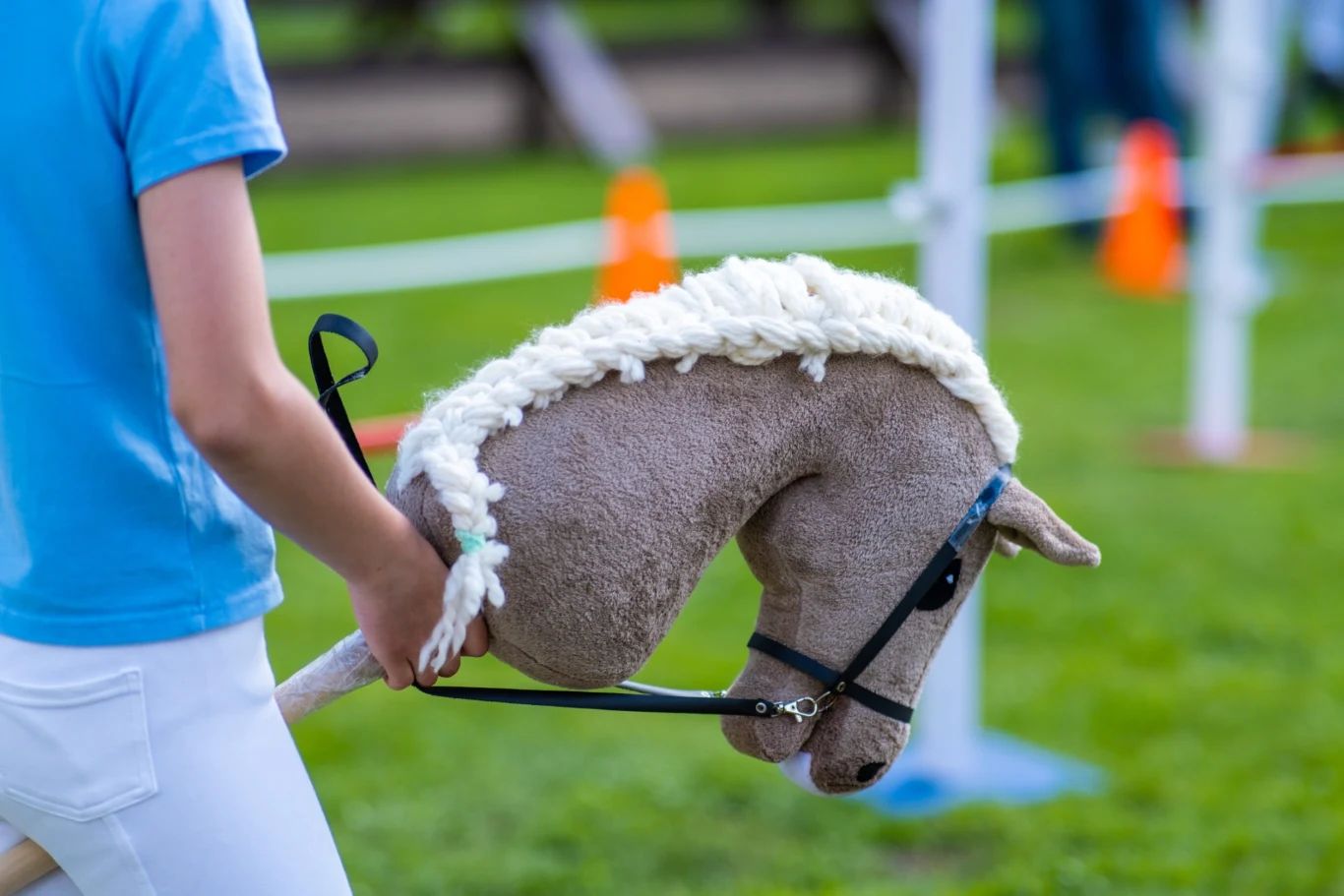 Hobby horsing wywodzi się z Finlandii i jest bardzo popularny w Skandynawii. Dociera jednak do innych krajów Europy, w tym Polski Hobby horsing wywodzi się z Finlandii i jest bardzo popularny w Skandynawii. Dociera jednak do innych krajów Europy, w tym Polski