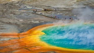 Gorące wody Yellowstone ujawniają sekret życia na Ziemi