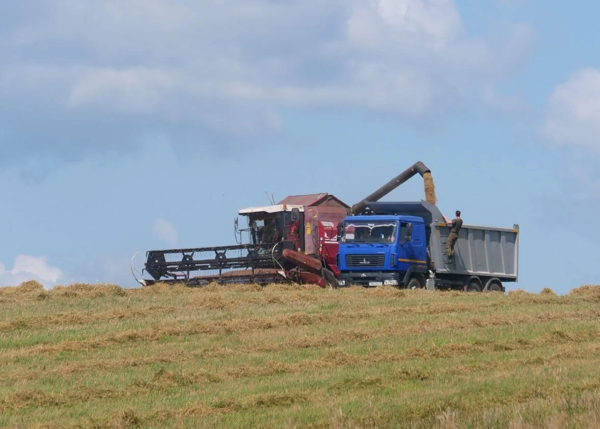 Białoruskie wojsko wspiera prace rolników Białoruskie wojsko wspiera prace rolników