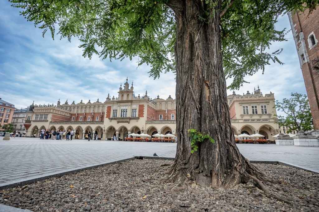 Kraków to polskie miasto najchętniej odwiedzane przez turystów