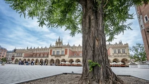 Kraków to polskie miasto najchętniej odwiedzane przez turystów