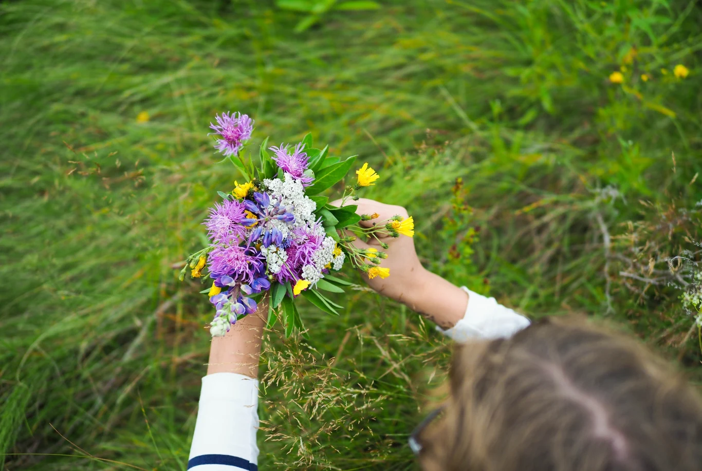 Podczas spaceru zbierz czerwoną koniczynę i zasusz ją. Zdziwisz się, jak wiele właściwości niesie ze sobą ta roślina.