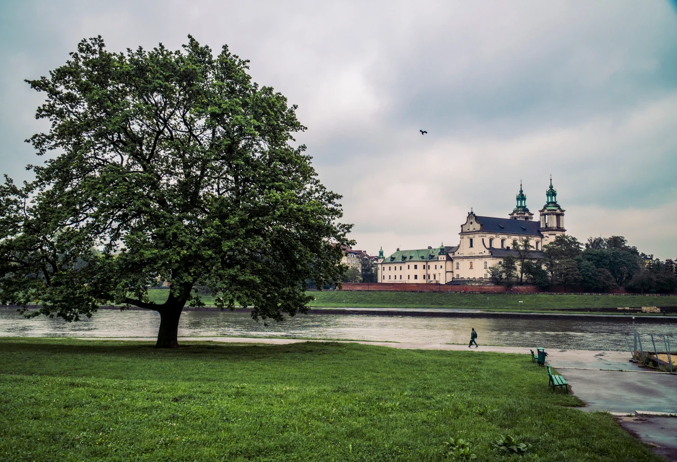 Trochę drzew można znaleźć nad Wisłą