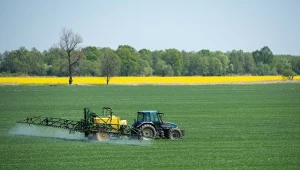 Rolnik z Dolnego Śląska opryskał pole trującym pestycydem. Sąd wydał wyrok w sprawie zatrucia milionów pszczół (zdj. ilustracyjne)