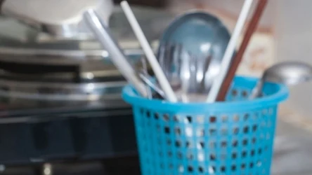 Jak pozbyć się much z domu?