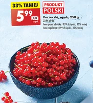 Porzeczki Polski