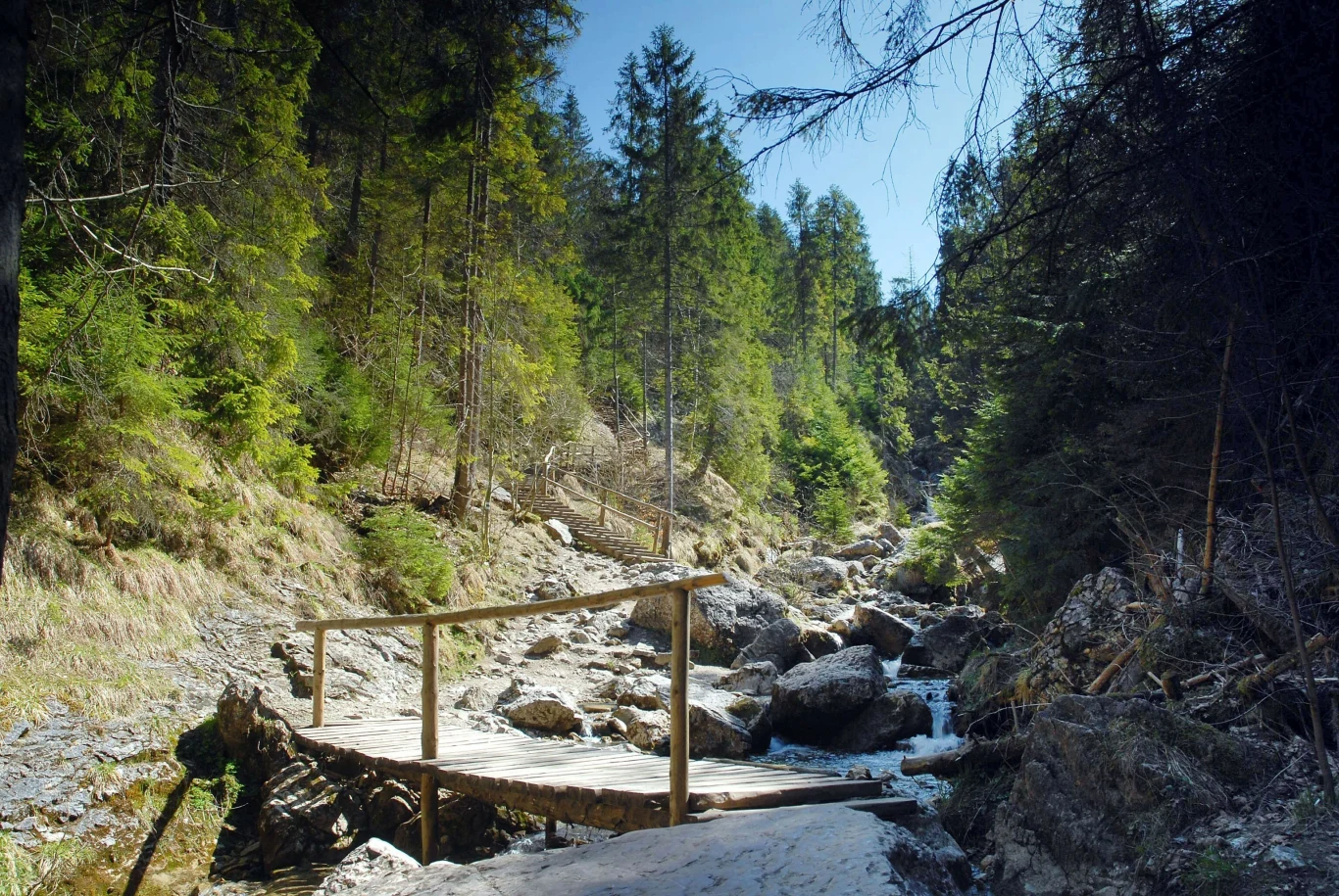 Wycieczka do Wąwozu Homole to idealna propozycja dla całej rodziny, również dla najmłodszych. 