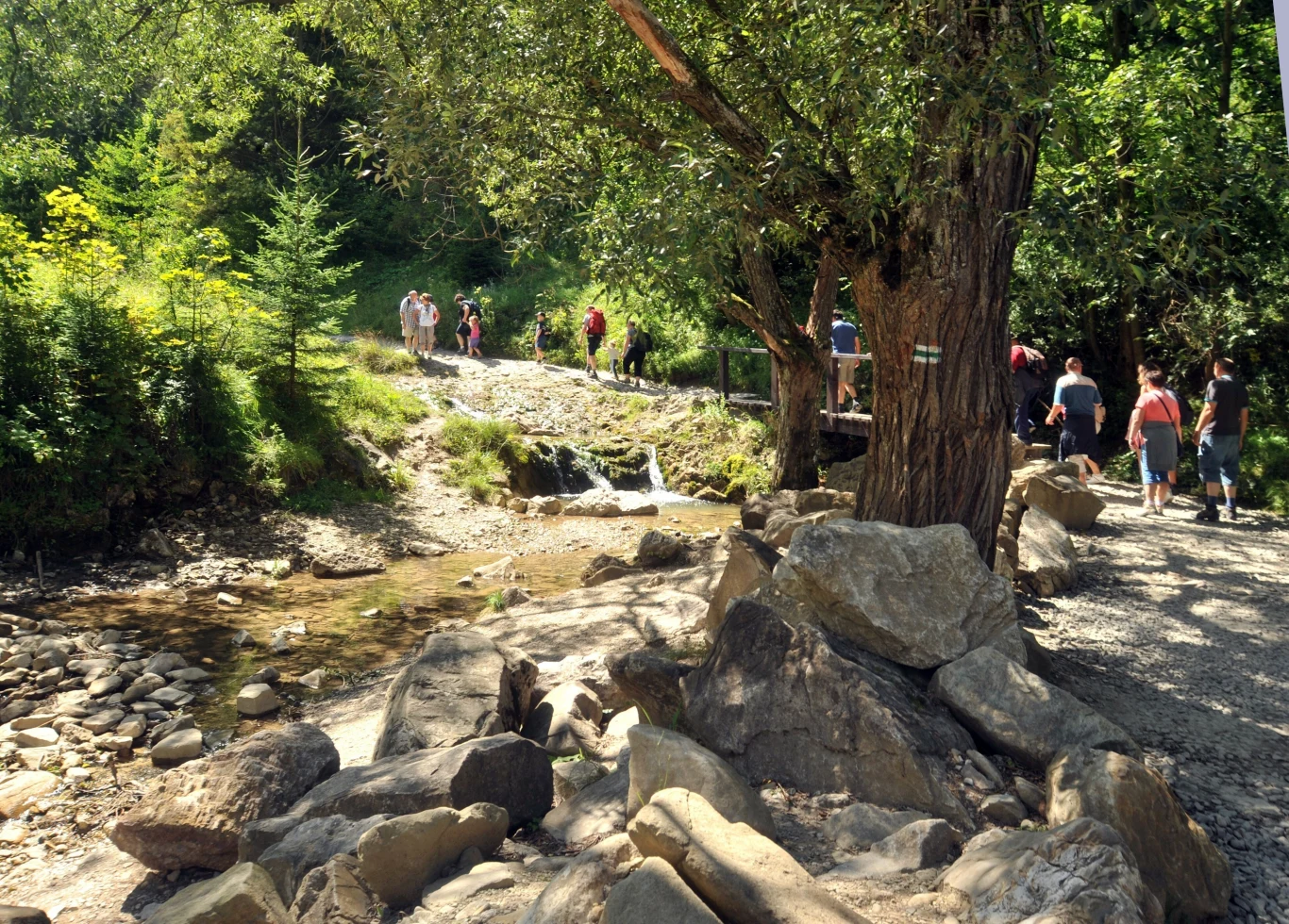 Wąwóz Homole jest jednym z najpiękniejszych w Polsce. Co o nim wiadomo?