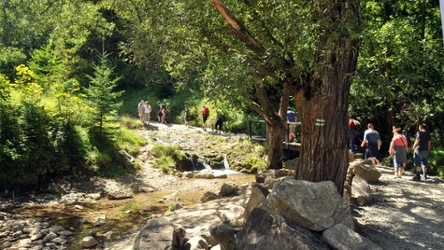 Wąwóz Homole jest jednym z najpiękniejszych w Polsce. Co o nim wiadomo?