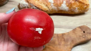 Odkroić zepsutą część i resztę przetworzyć? Tylko tak pozbędziesz się pleśni