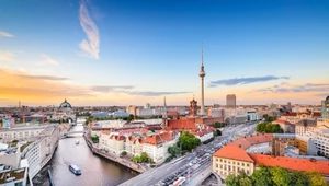 Wiercą dziury w drzewach i wlewają truciznę. Berlin walczy z przestępcami