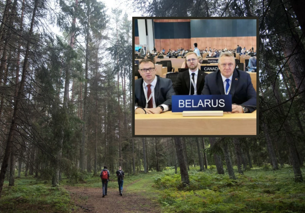 Białoruska delegacja poskarżyła się na Polskę w sprawie Puszczy Białowieskiej