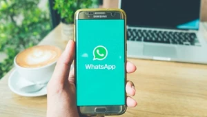 Whatsapp staje się coraz popularniejszy