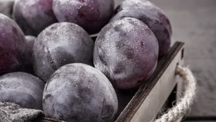 Jak zrobić sok ze śliwek?