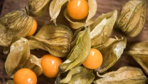 Ten owoc to skarbnica zdrowia. Smakuje obłędnie, a Polacy traktują go jak ozdobę