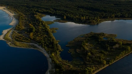 Wyspa Sobieszewska to zielony raj rzut beretem od Gdańska