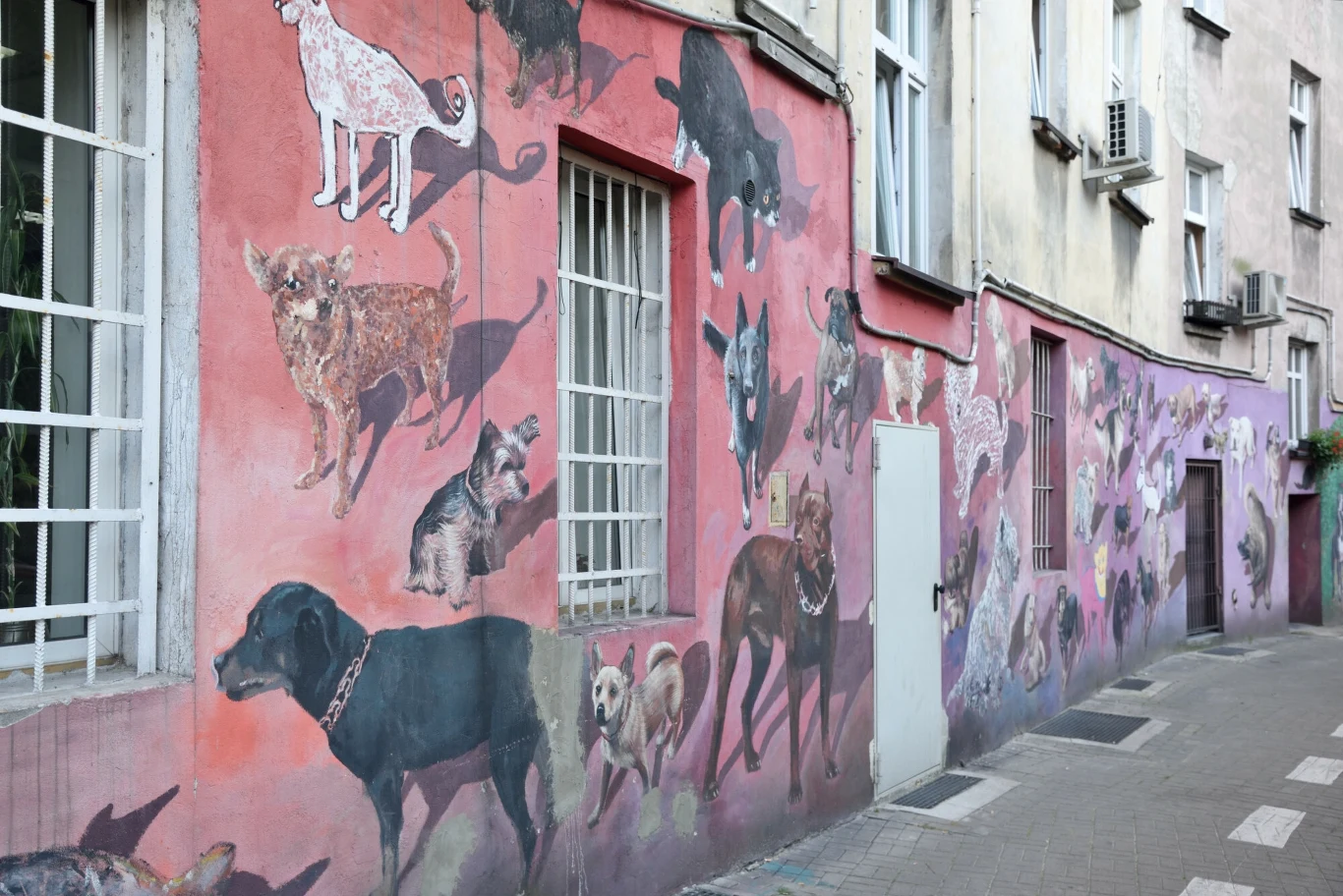 Mural We Wrocławiu ze zwierzętami