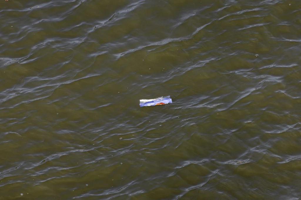 Ulewne deszcze powodują wzrost stężenia bakterii w Sekwanie