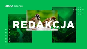 Redakcja Zielona Interia