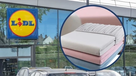 Prześcieradła 50% taniej w Lidlu!
