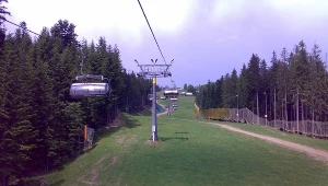 Polana Szymoszkowa. Pies wyskoczył z wyciągu krzesełkowego (Zdj. ilustracyjne)