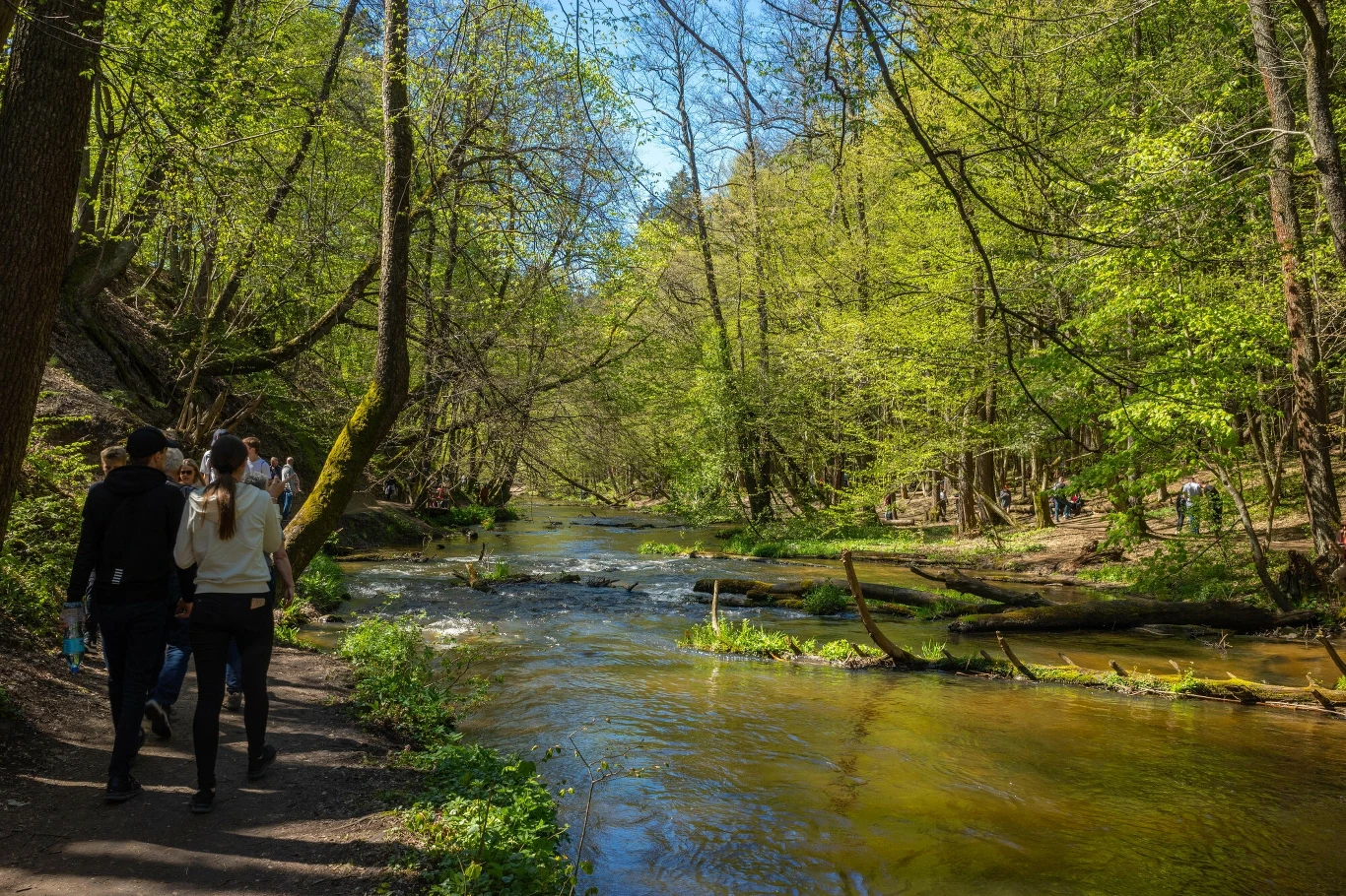 W Polsce nie brakuje pięknych parków narodowych. Są idealne do odwiedzenia w długi weekend. W Polsce nie brakuje pięknych parków narodowych. Są idealne do odwiedzenia w długi weekend.