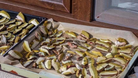 Są różne domowe sposoby na suszenie grzybów. Możesz zrobić to na słońcu, w piekarniku, na nitce czy po prostu w suszarce do żywności