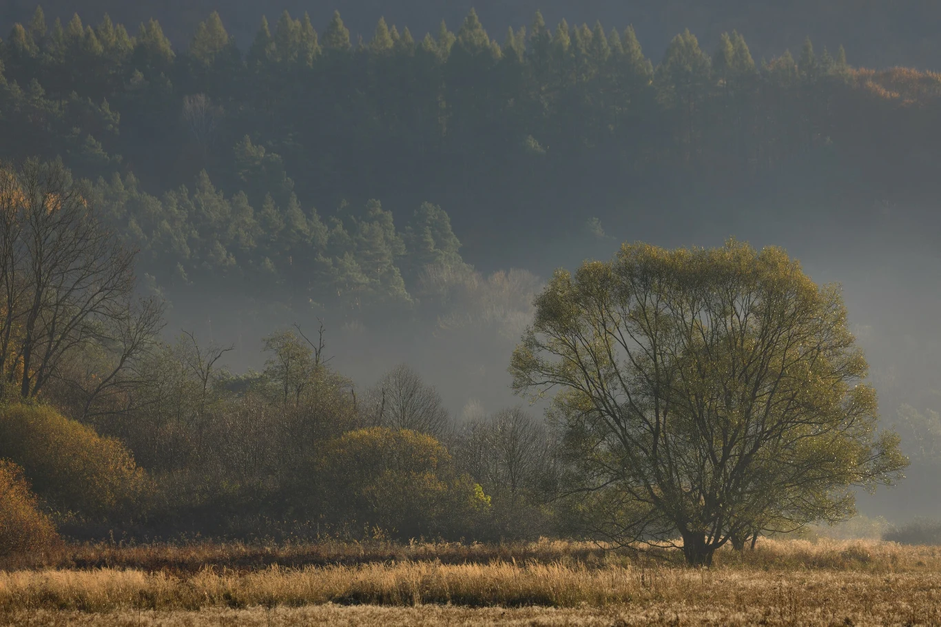W Małopolsce znajdują się opuszczone wsie, niegdyś zamieszkiwane przez Łemków. Na zdj. okolice nieistniejącej wsi Nieznajowa