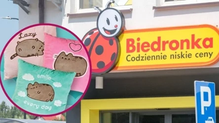 Nowa kolekcja Pusheen w Biedronce 