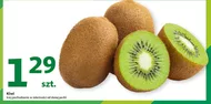 Kiwi