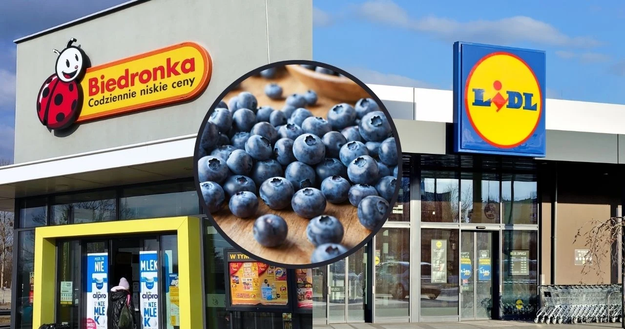 Promocje na borówkę amerykańską w Biedronce i Lidlu Promocje na borówkę amerykańską w Biedronce i Lidlu
