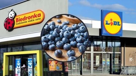 Promocje na borówkę amerykańską w Biedronce i Lidlu 