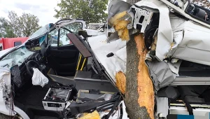 Bus zjechał z drogi i uderzył w drzewo