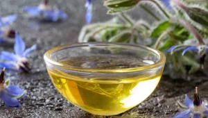 Olej z nasion ogórecznika ma wiele właściwości. Sprawdź, jak go stosować