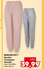 Spodnie damskie Newcential