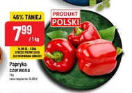 Papryka Polski