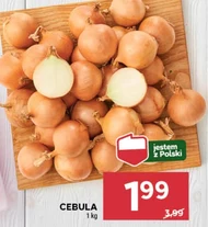 Cebula Polski