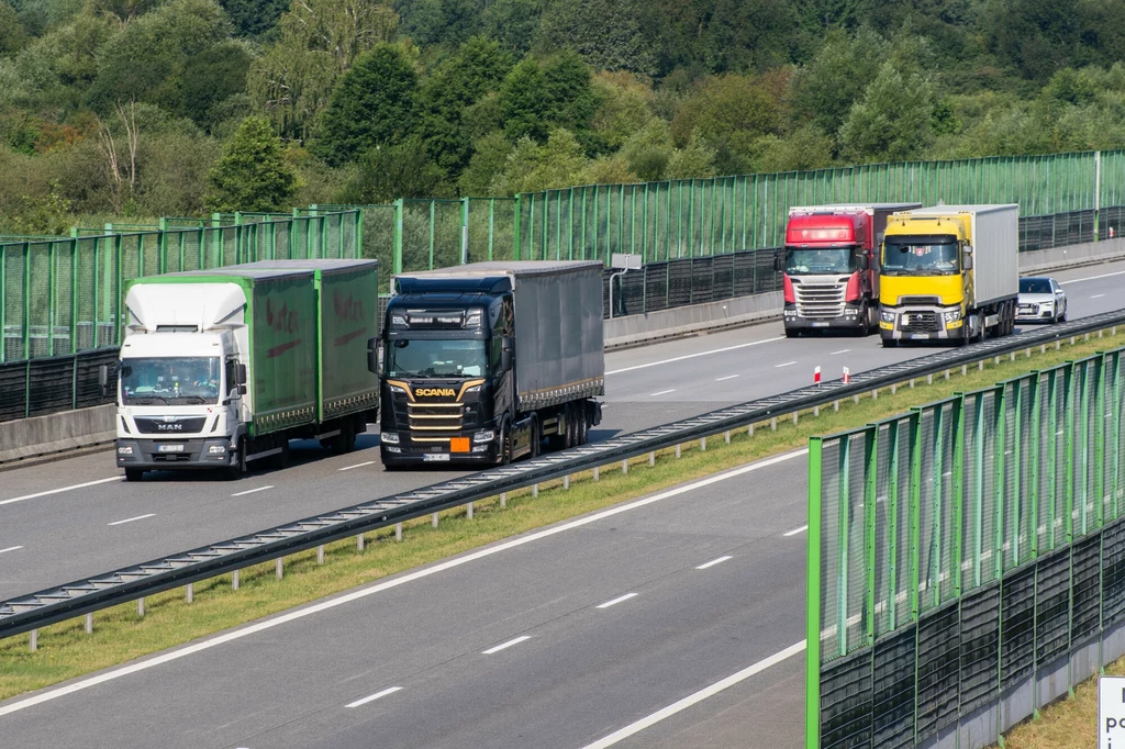 Polska to europejska potęga w transporcie. Przegoniliśmy nawet Niemcy