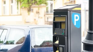 Na jaki czas opłacić bilet parkingowy? Niewielkie opóźnienie może słono kosztować (zdj. ilustracyjne)