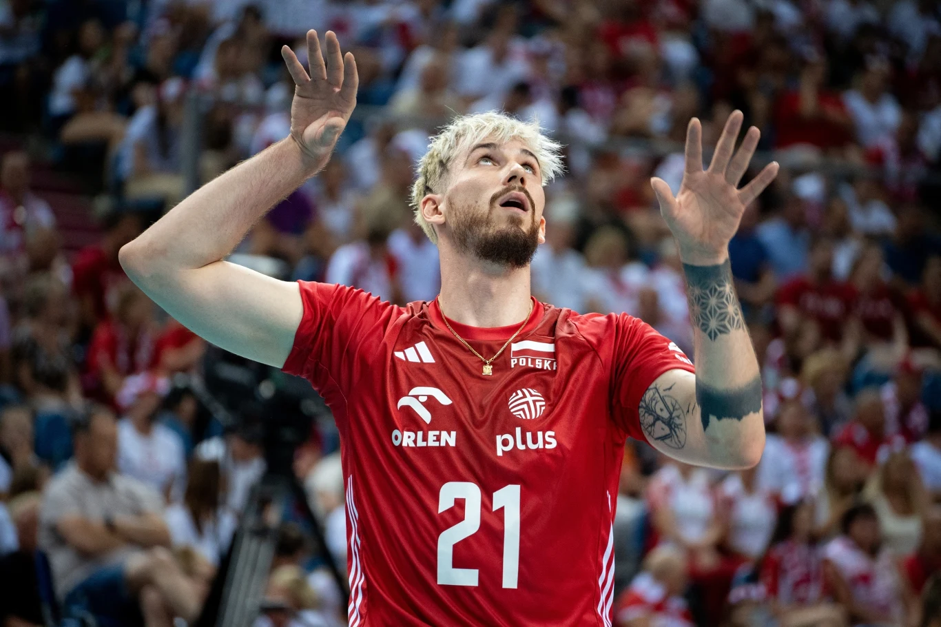 Tomasz Fornal Tomasz Fornal