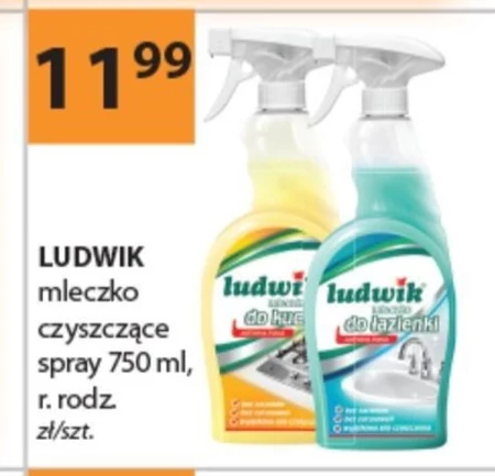 Mleczko czyszczące Ludwik